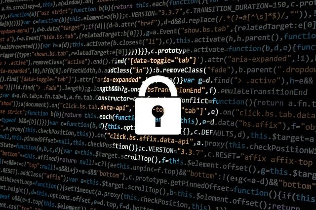 5 Business Security Strategies to Protect Your Company Data