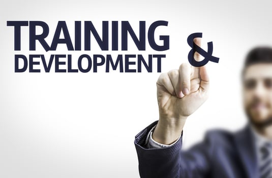 Investing in employee training and development