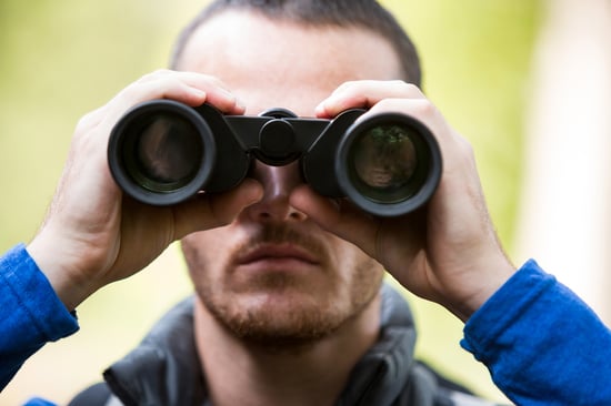 What to Watch: The Indications of Suspicion