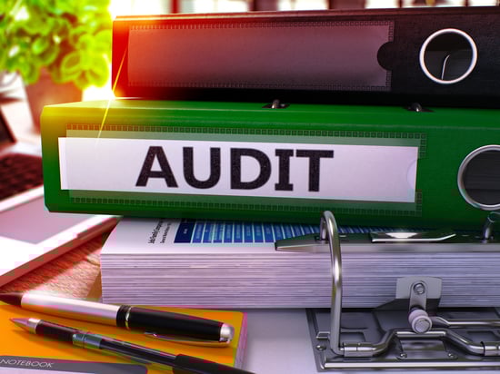 Audit Project Timelines