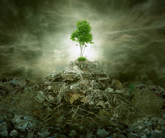 The environmental advantages of yard management
