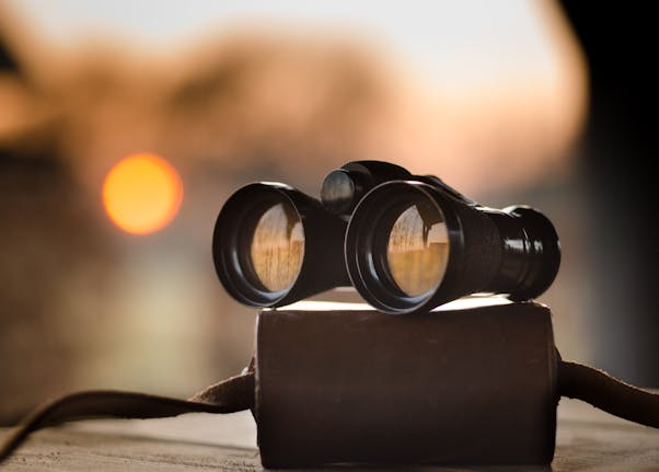 Identifying Promising Penny Stocks