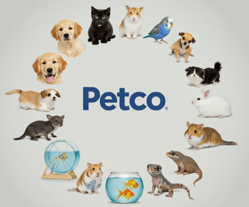Petco Revamps Leadership Team with Three Key Executive Appointments
