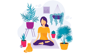 meditation startups