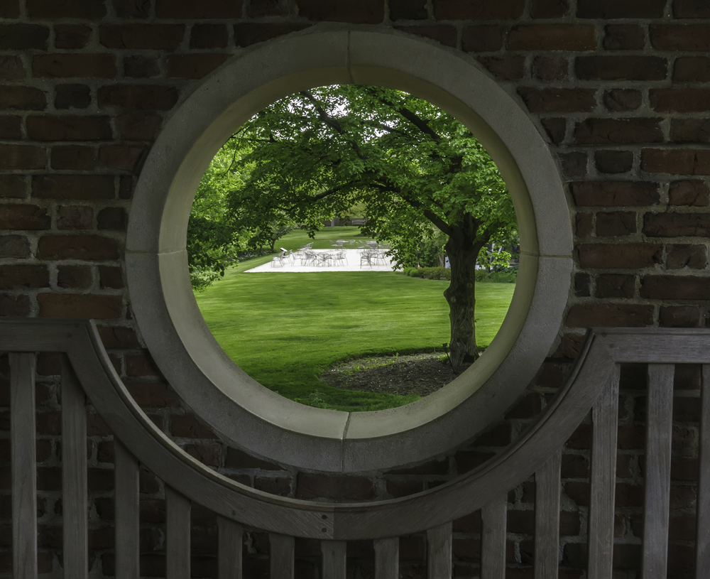 The Rise of Circular Economy Startups