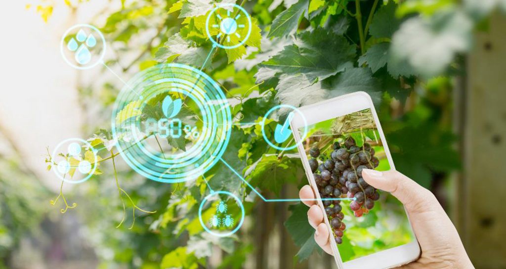 5 Revolutionary Agritech Startups