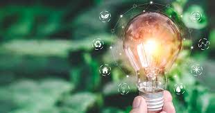 Biodegradable Startups: Creating Materials for an Eco-Conscious Age