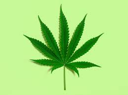 Cannabis Startups: Dutchie Valued at $1.7 Billion