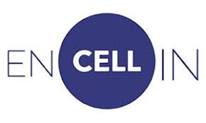Biotech Startups vs Diabetes: Will Encellin Break the Mould?