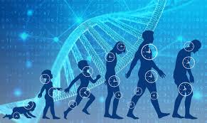 US Longevity Startups: Could the Fountain of Youth become a Reality?