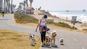 Pet Care Startups Making Major Tracks